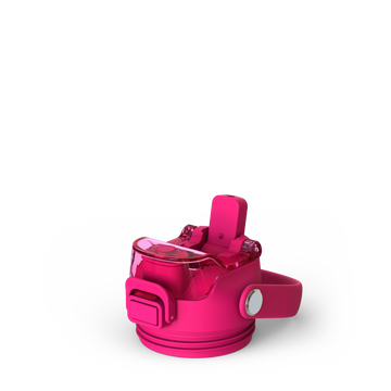 Frost Buddy 32oz Bottle Buddy - Berry Blitz