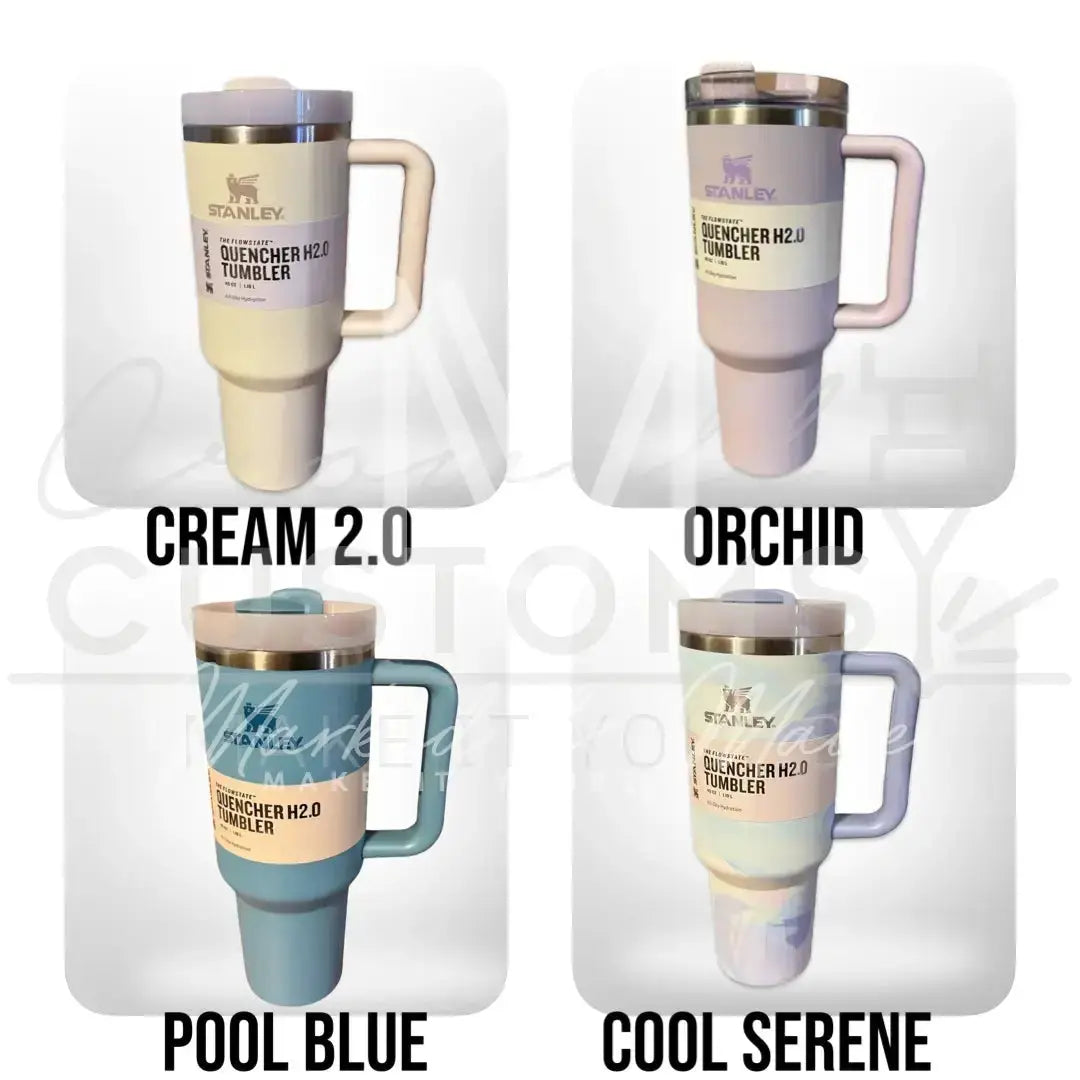 Disney World Rides  Quencher Tumbler (30oz, 40oz, + Stanleys) 